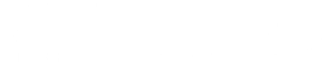 Viezu Approved Dealer, ID ZC50576